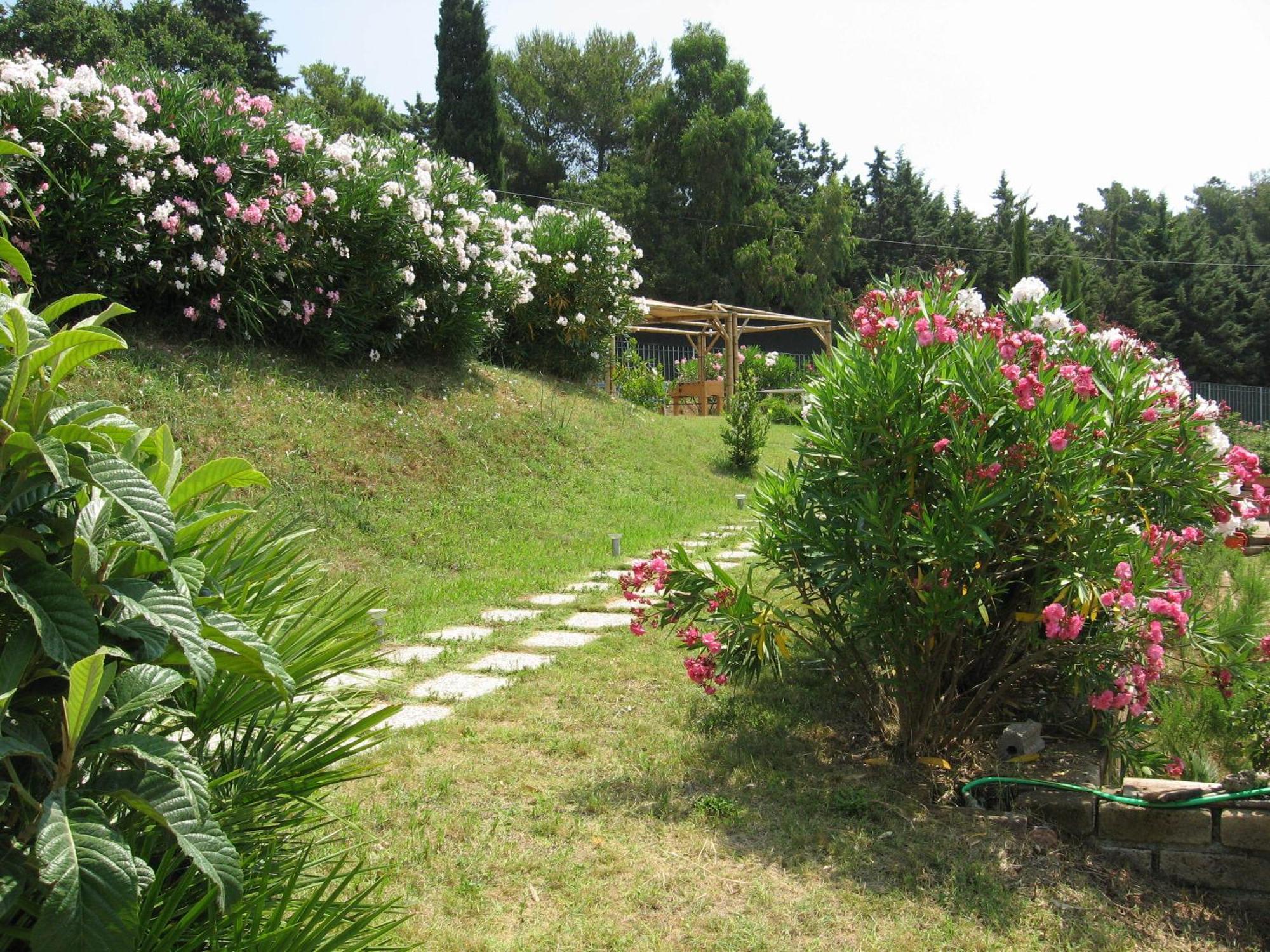 Residence La Casaccia Venturina Terme Exterior photo